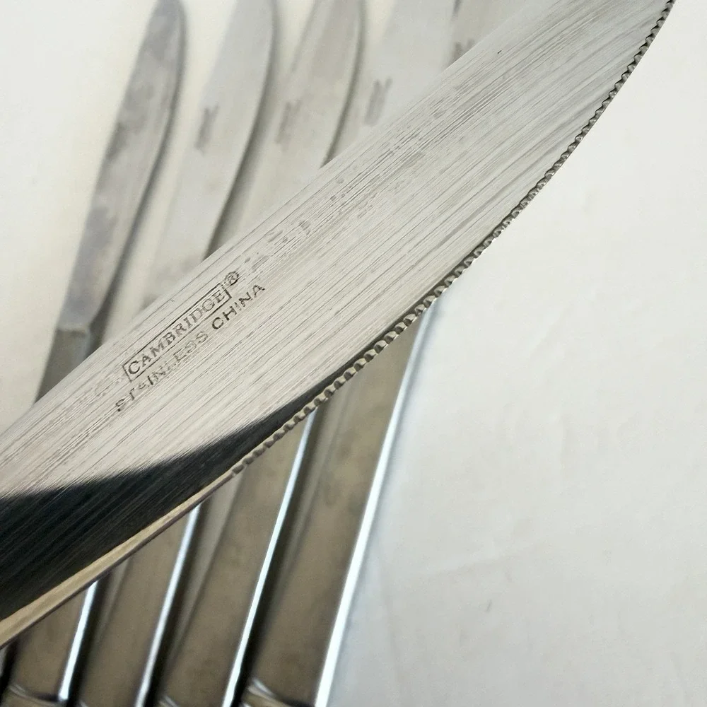 Set of 6 Cambridge Codie Sand Frost Stainless Butter Dinner Knifes Flatware  8